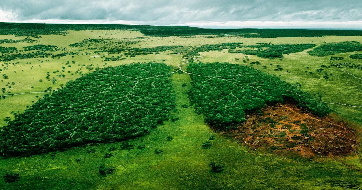Menciptakan Lingkungan yang Mendukung Ketenangan Batin